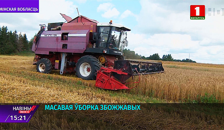 Почти 400 тысяч тонн весит каравай Минской области