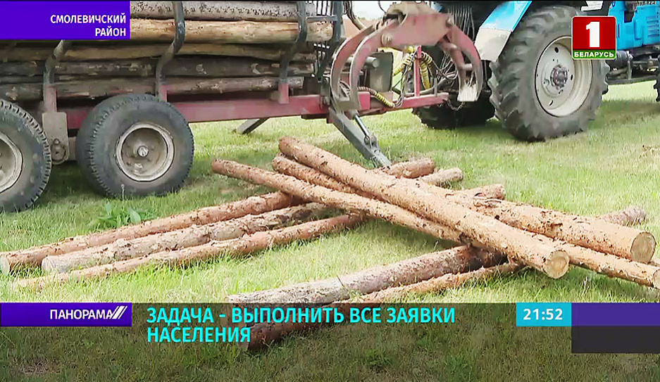 Дров хватит на всех. Как лесхозы Беларуси выполняют заявки?