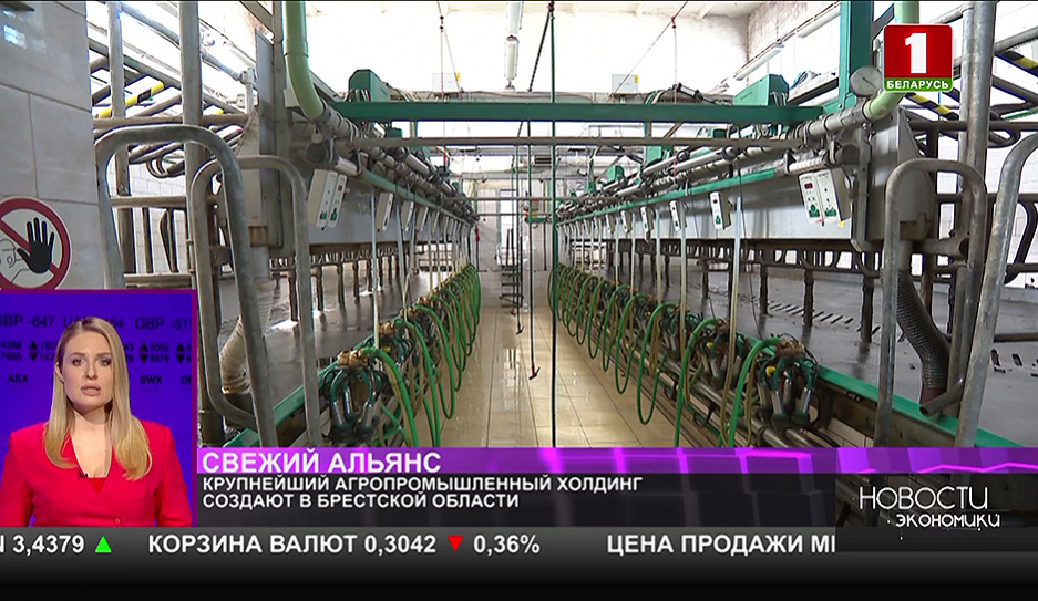Крупнейшее хозяйство по поголовью свиней и крупного рогатого скота создадут в Беларуси 