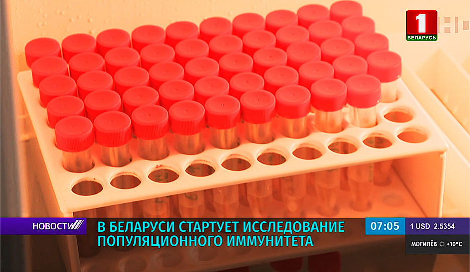 В Беларуси стартует исследование коллективного иммунитета к коронавирусу