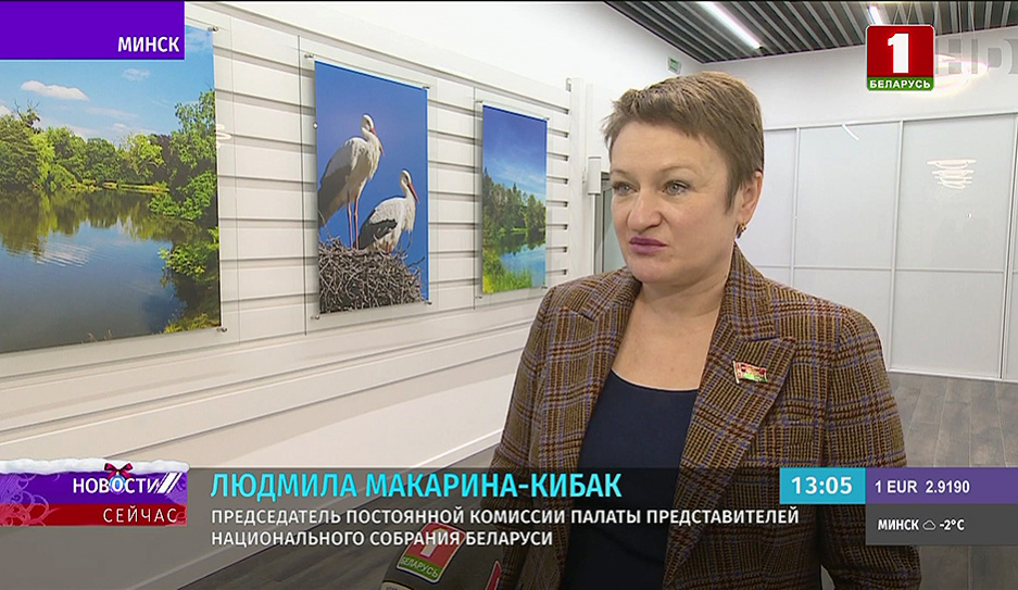 Макарина-Кибак: Важно не просто рассказать об изменениях в Конституцию, но и услышать предложения белорусов