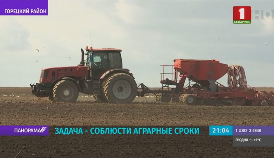 В Беларуси продолжается массовый сев ранних яровых и зернобобовых культур