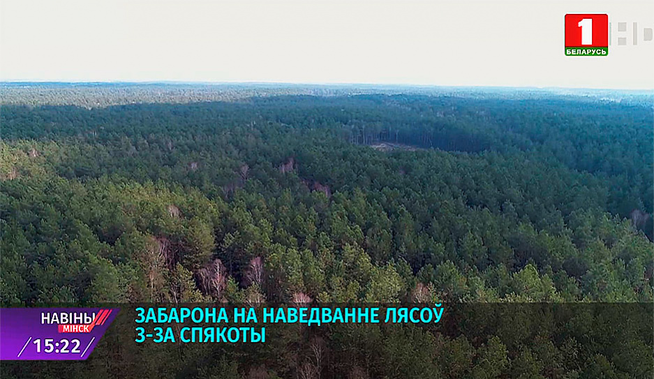 Запрет на посещение лесов действует в Вилейском, Борисовском, Березинском и Крупском районах Минской области