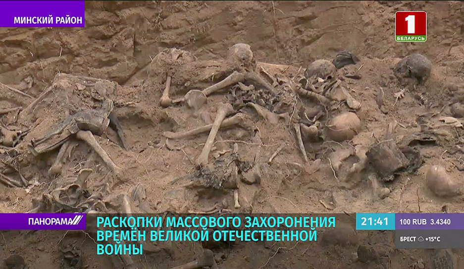 В окрестностях Минска начались раскопки массового захоронения времен Великой Отечественной войны 