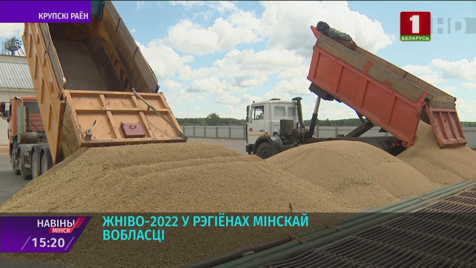 Аграрии Минской области намолотили уже более  350 тысяч тонн зерновых