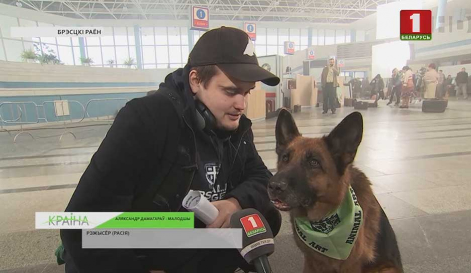 В Брестском аэропорту снимают фильм  о собачьей  преданности