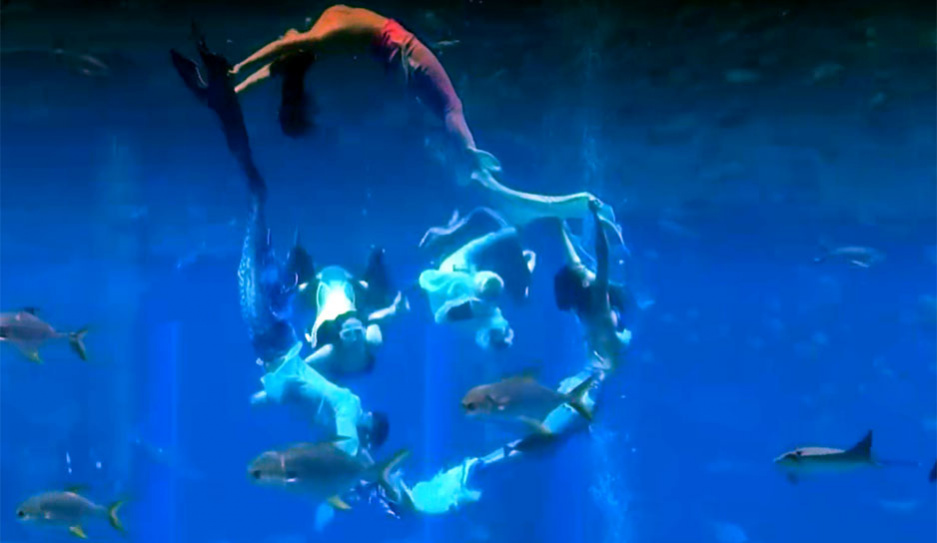 Подводное шоу русалок в Китае установило новый рекорд Книги Гиннесса