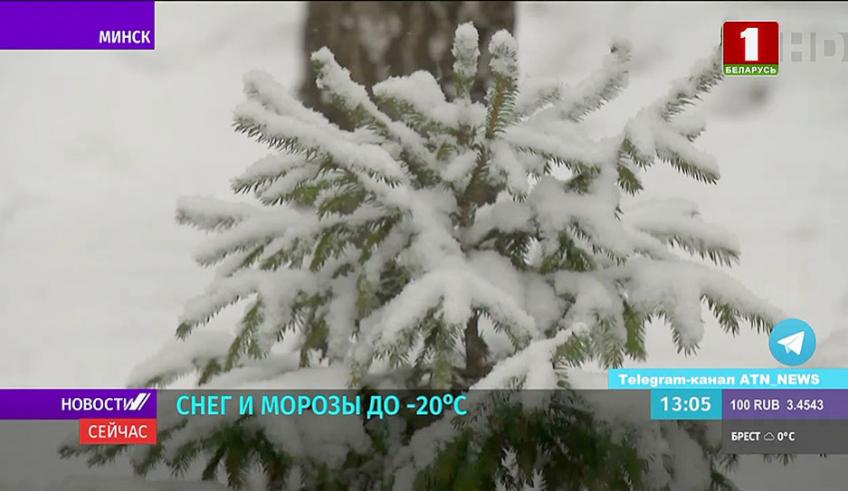 До - 20 °C ожидается в Беларуси на этой неделе